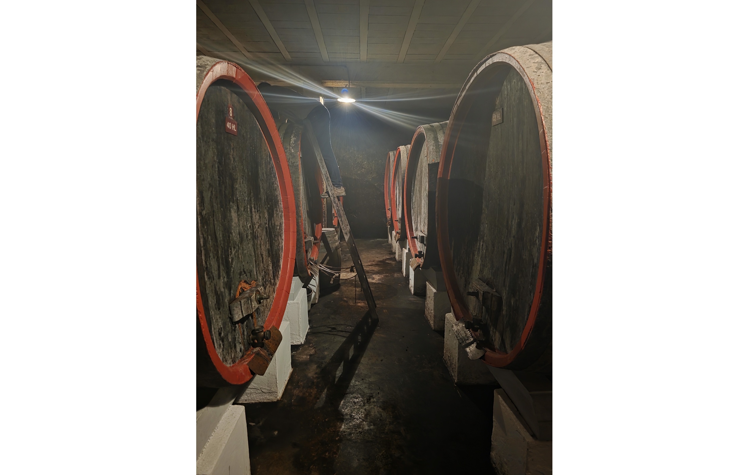 Visit Domaine Bois de Boursan (03.06.2026)