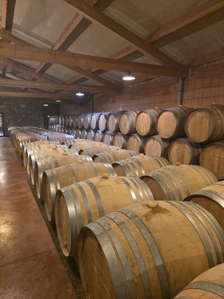 Visit Maison Andre Perret (28.05.2026)